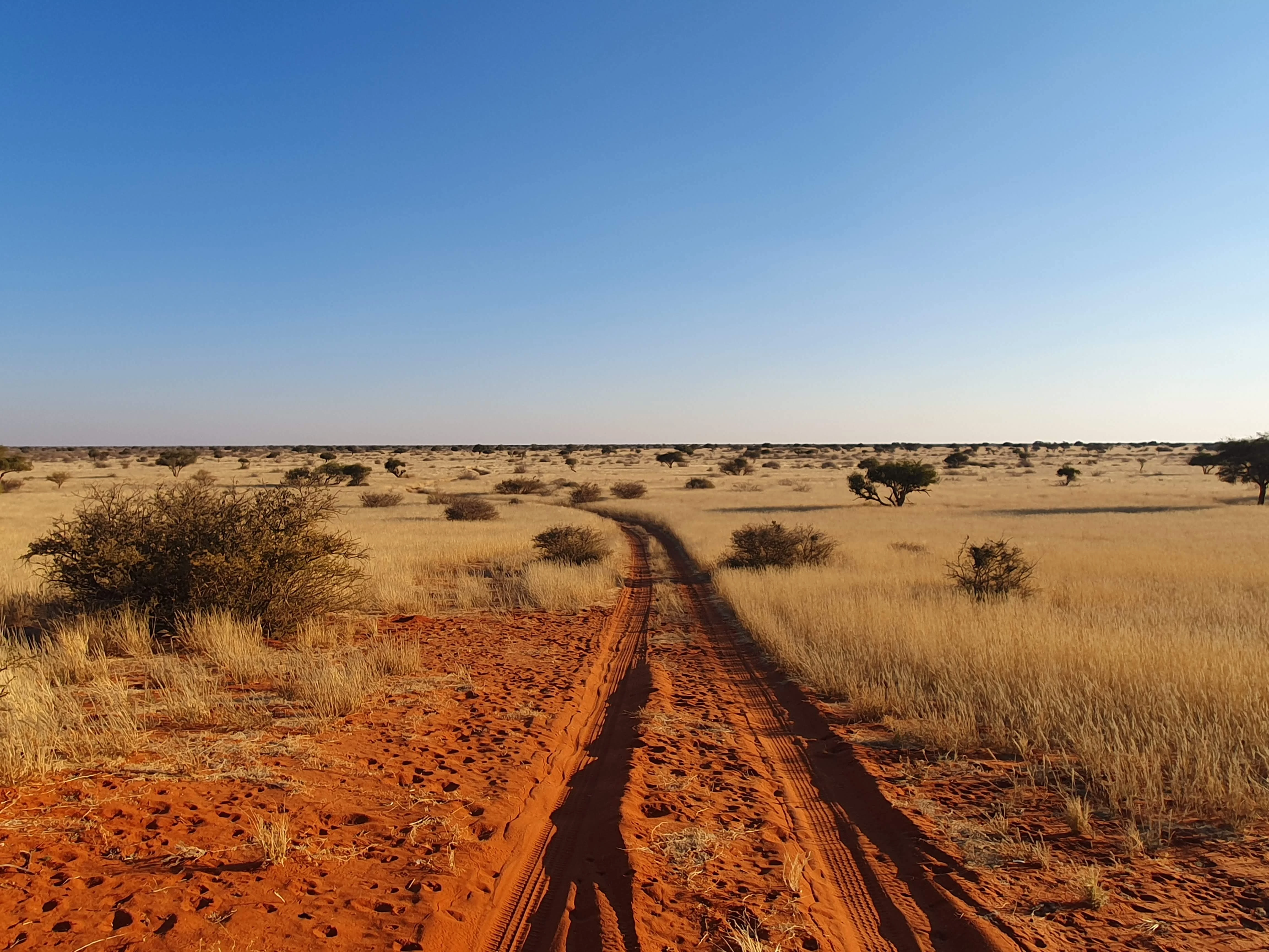 Kalahari -> Windhoek