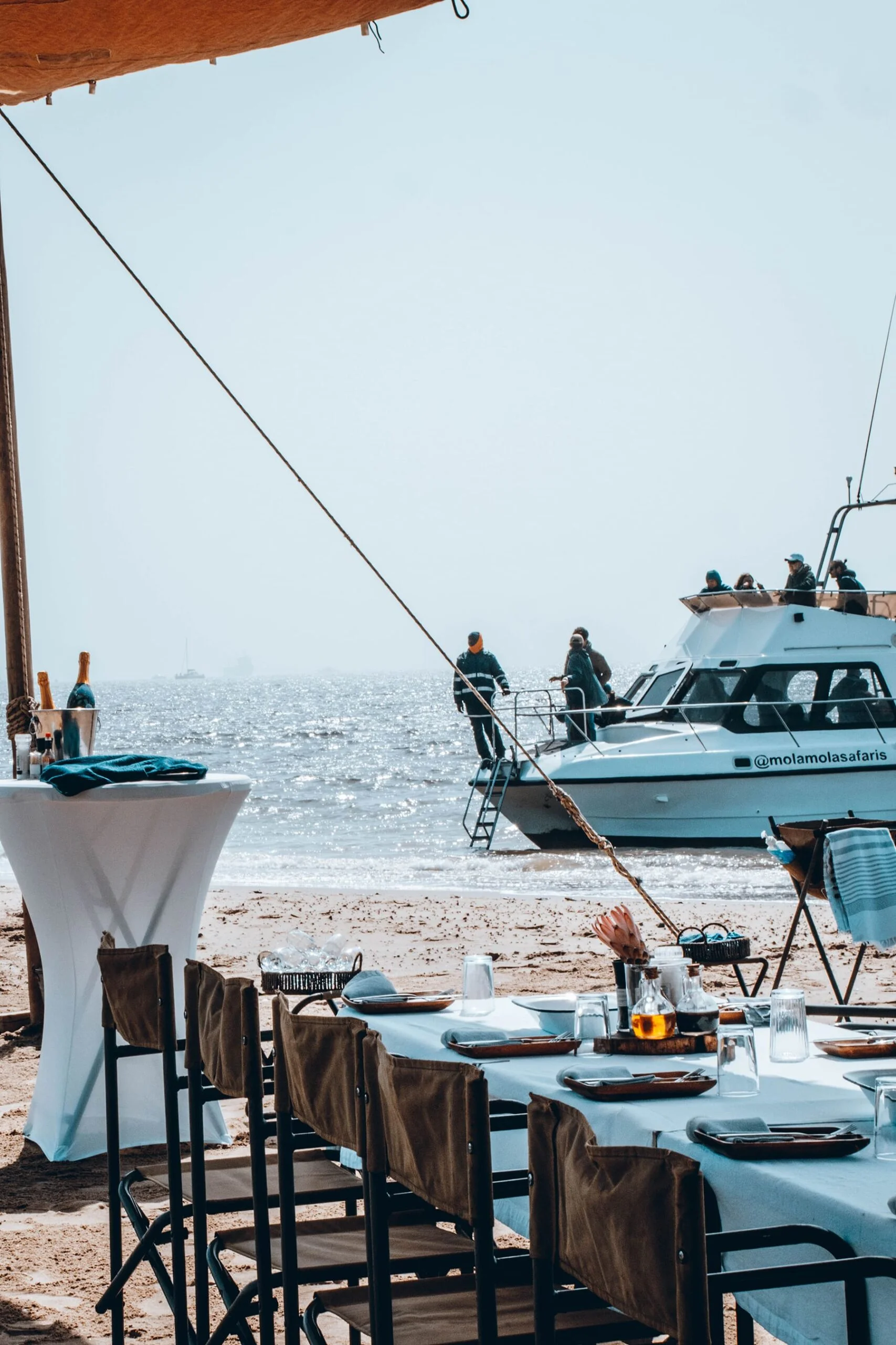 Marine Wildlife & Swakopmund