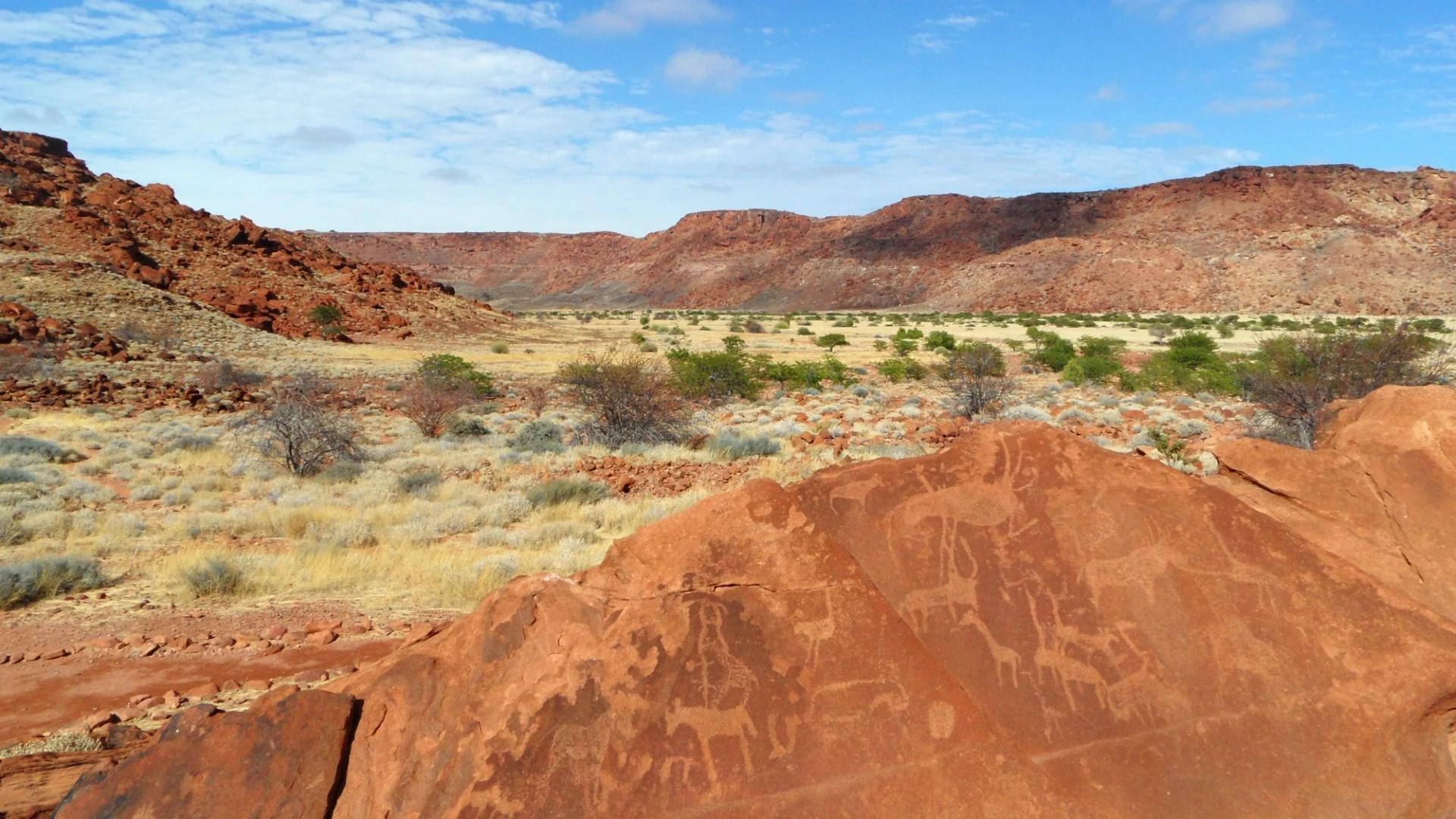 Damaraland: Rock Art & Desert Elephants